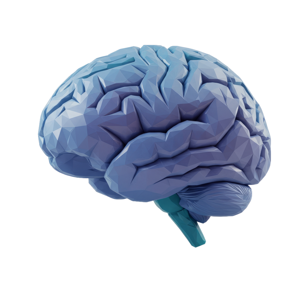 Low Poly Human Brain Model Purple Blue Gradient Anatomy Illustration png