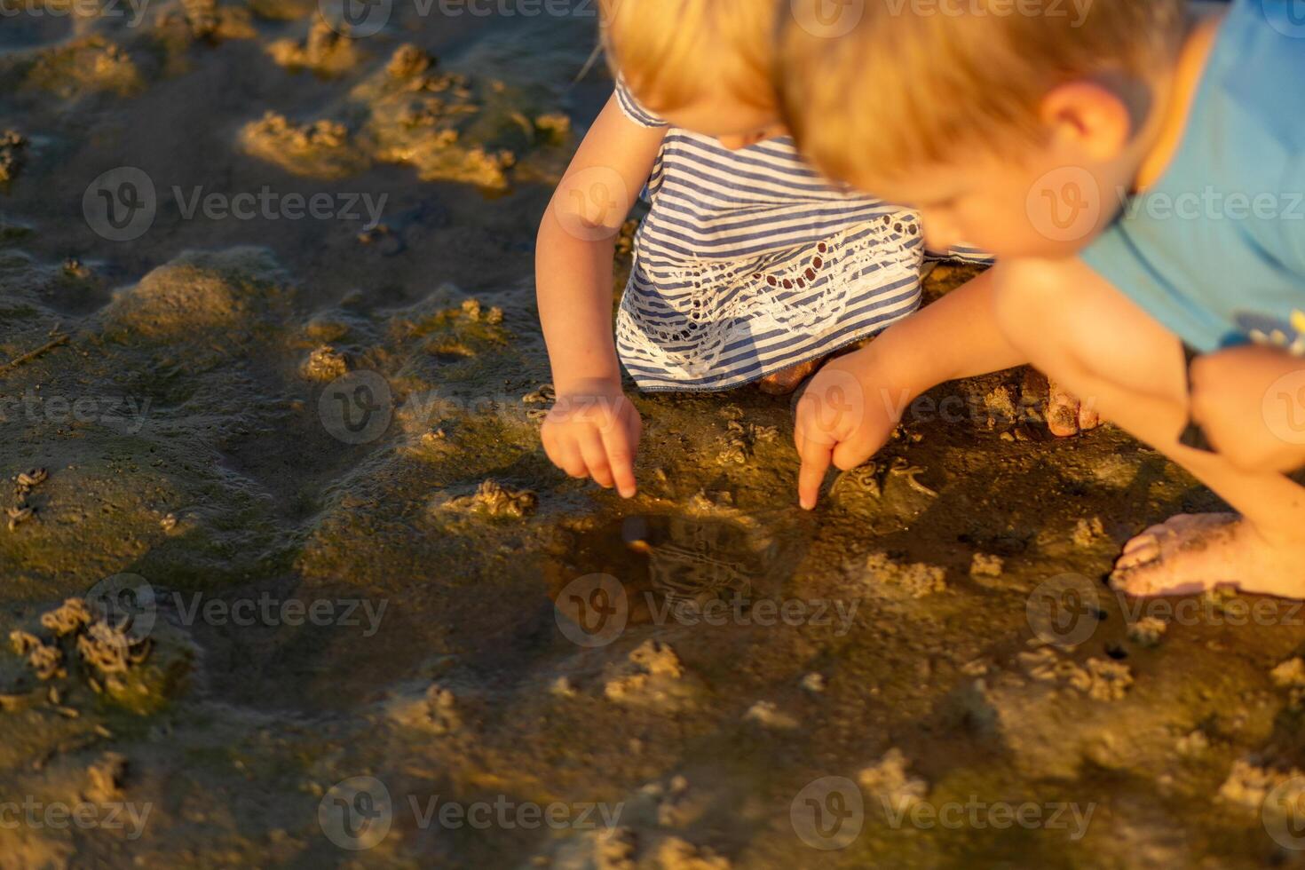 Children playing by a shallow puddle on the shore, exploring nature photo