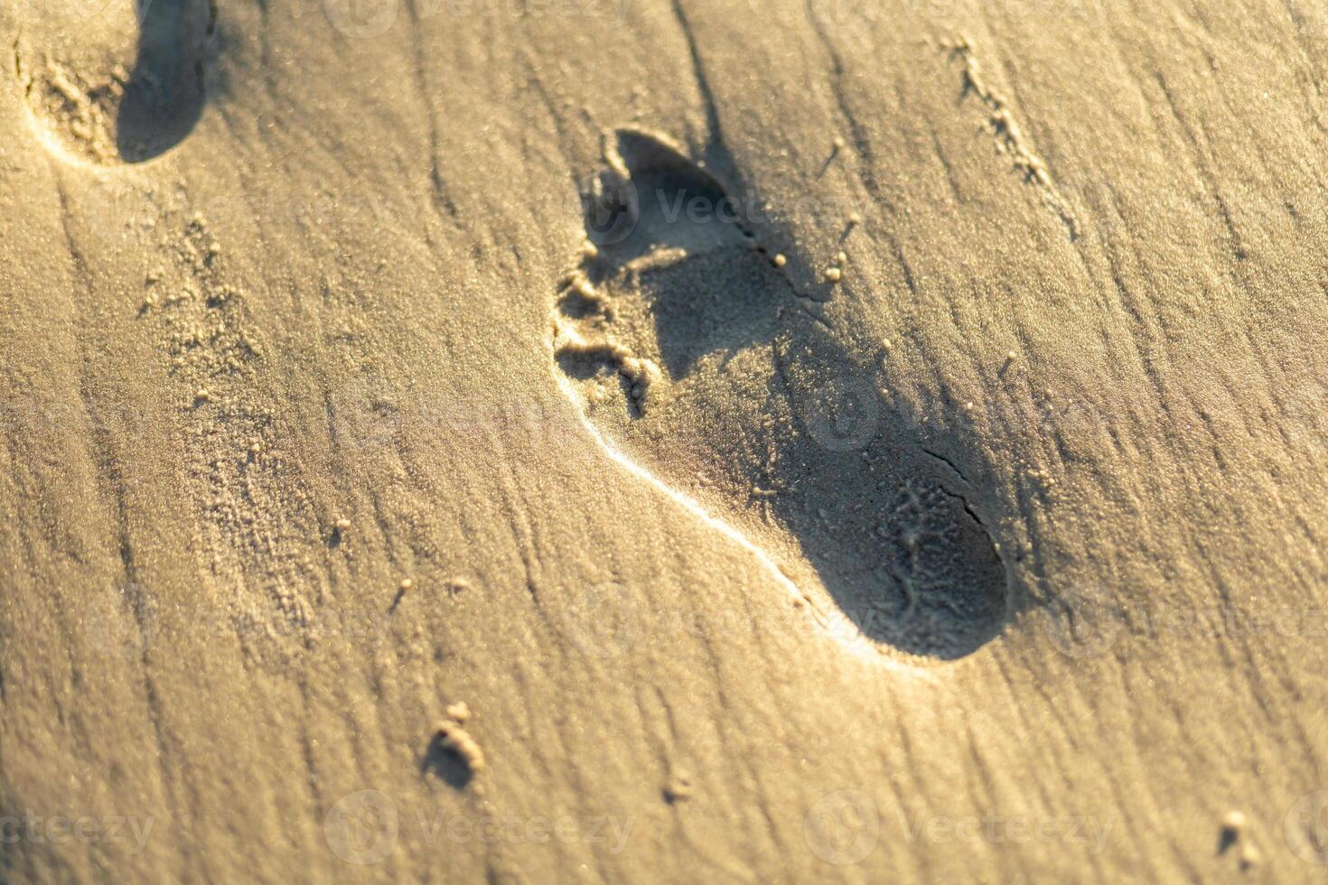 Footprint in golden sand on a beach during sunset captures a moment of tranquility and connection with nature photo