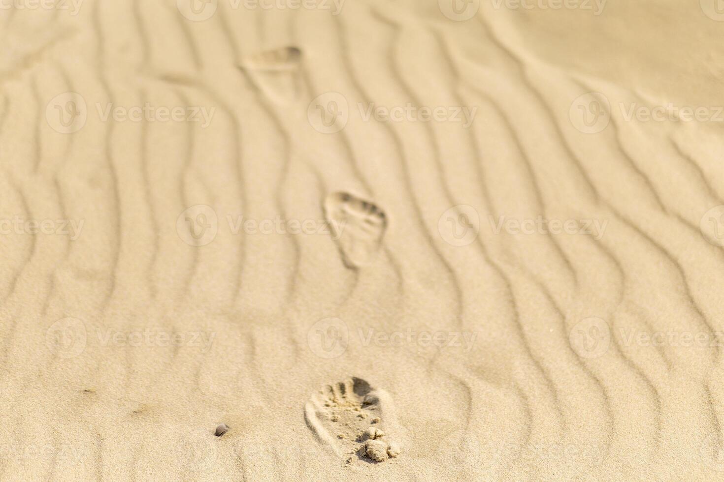 Footprints in smooth sand showcasing tranquil beach patterns during bright daylight photo