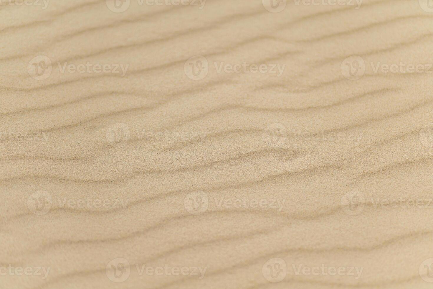 Patterns of soft sand dunes with gentle ripples in the afternoon sunlight on a warm summer day photo