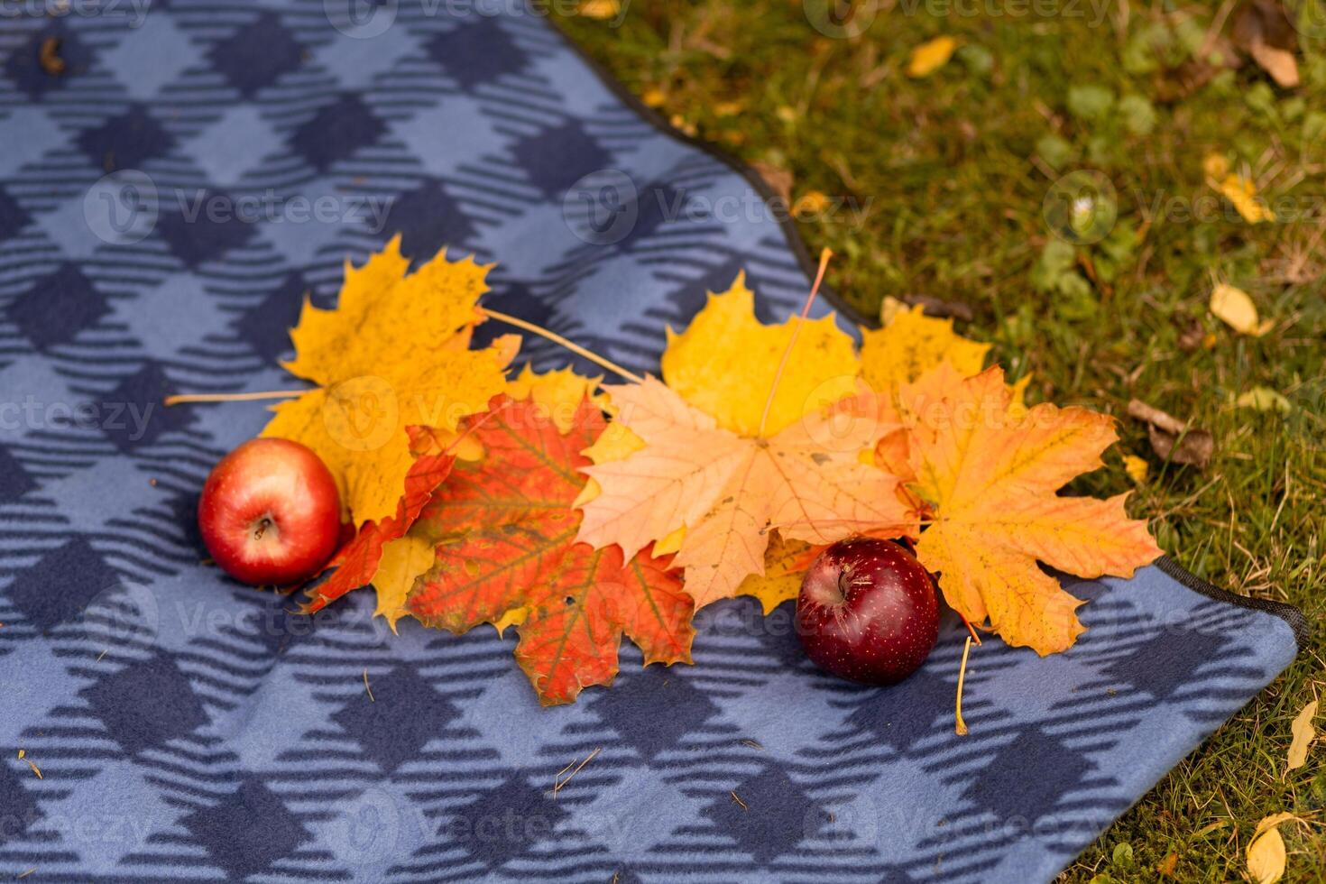 Autumn picnic setting with vibrant leaves and apples laid on a blue patterned blanket in a serene outdoor location photo