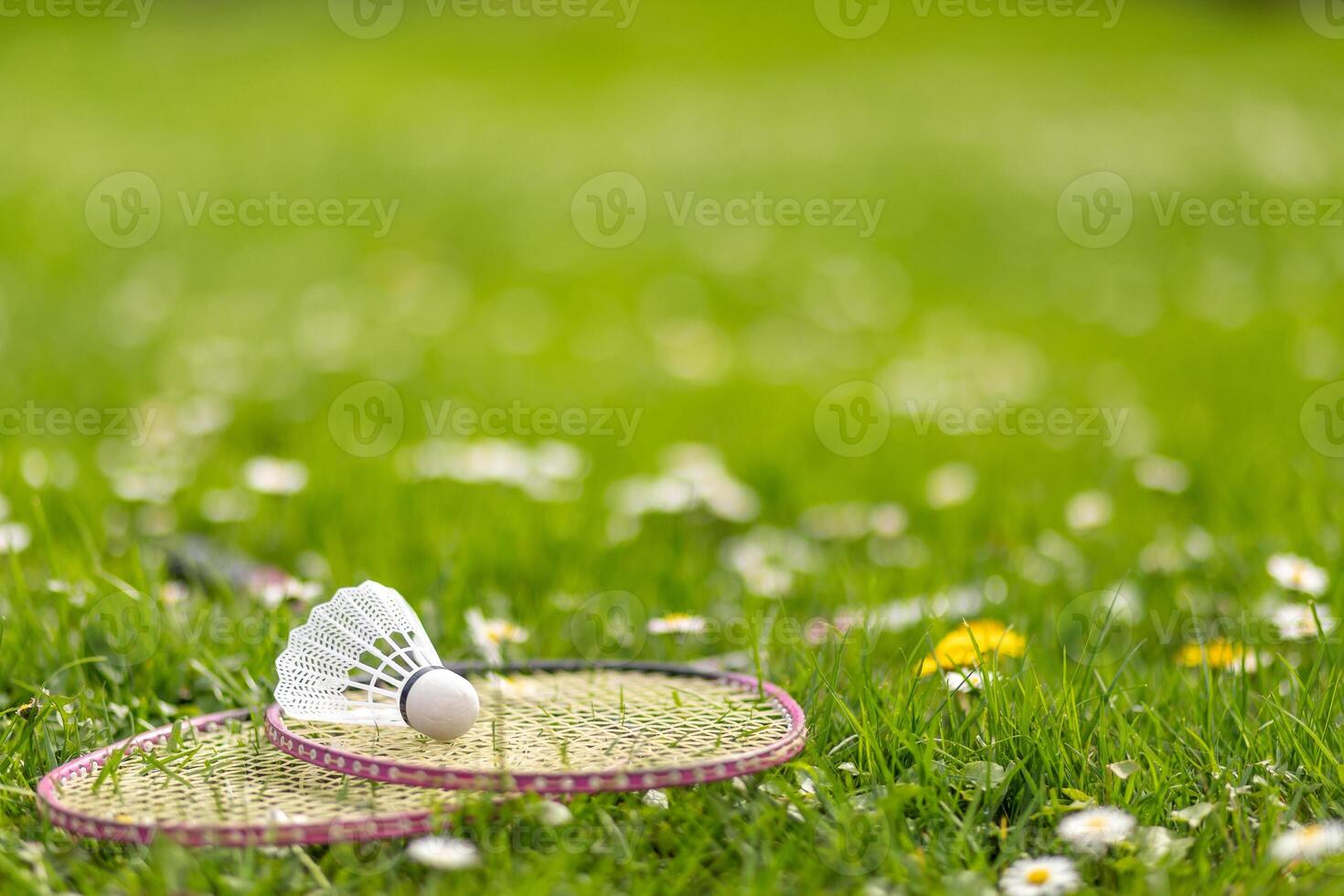 Two badminton rackets and a shuttlecock lie on the green grass. photo