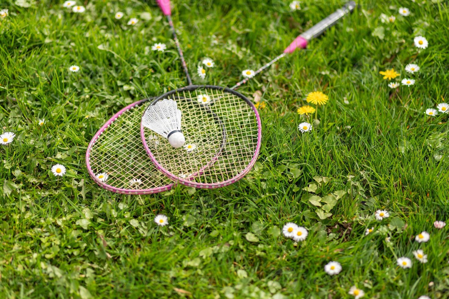 Two badminton rackets and a shuttlecock lie on the green grass. photo