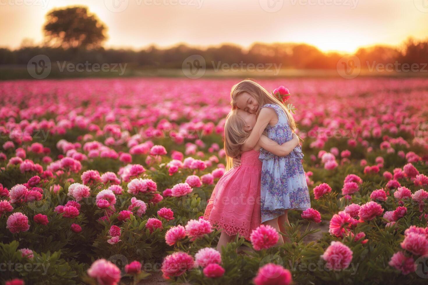 two sisters hugging in a peony field against the backdrop of sunset photo