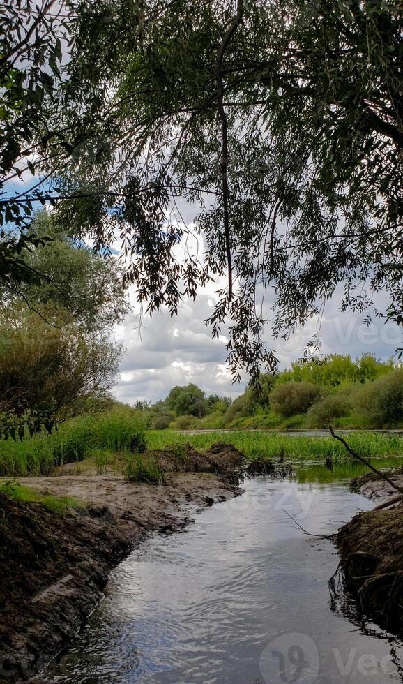 Scenic view of a calm wild river flowing through green forest, framed by overhanging tree branches. Soft natural light and cloudy sky create a tranquil atmosphere perfect for nature designs photo