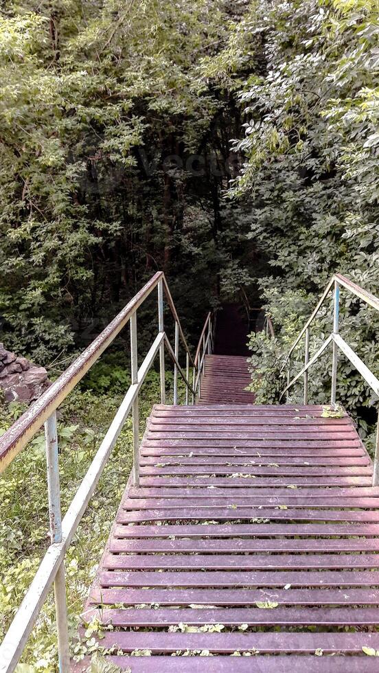 Rusty metal stairs descending into a forest full of greenery. A quiet, peaceful path ideal for nature-themed projects, hiking concepts or backgrounds with perspective. photo