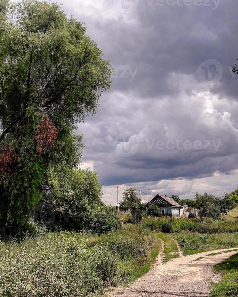 Atmospheric photo of a quiet countryside scene with an old wooden house, overgrown greenery, and a winding dirt road under a dramatic cloudy sky. Ideal for nature, travel, and rustic lifestyle themes.