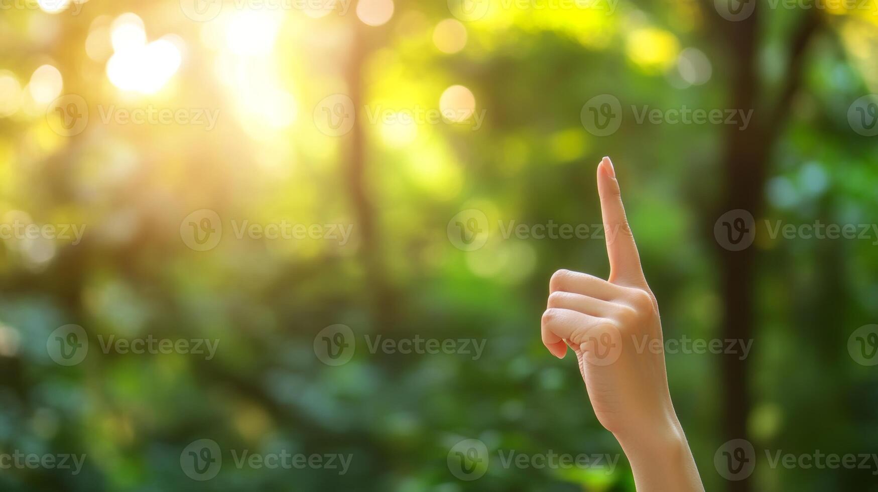 Hand raised pointing upward in sunlight amidst green foliage in a tranquil forest setting photo