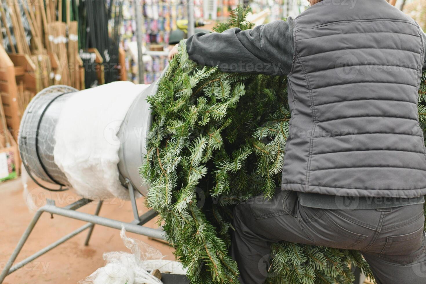 Salesman being wrapped up a Christmas tree packed in a plastic net photo