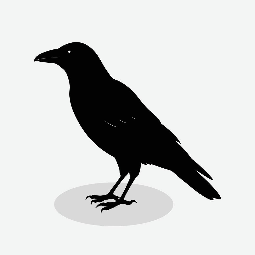 a black crow standing on a white background vector