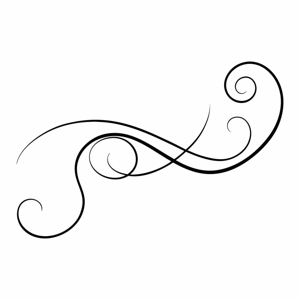 Curved swirling flourish vector