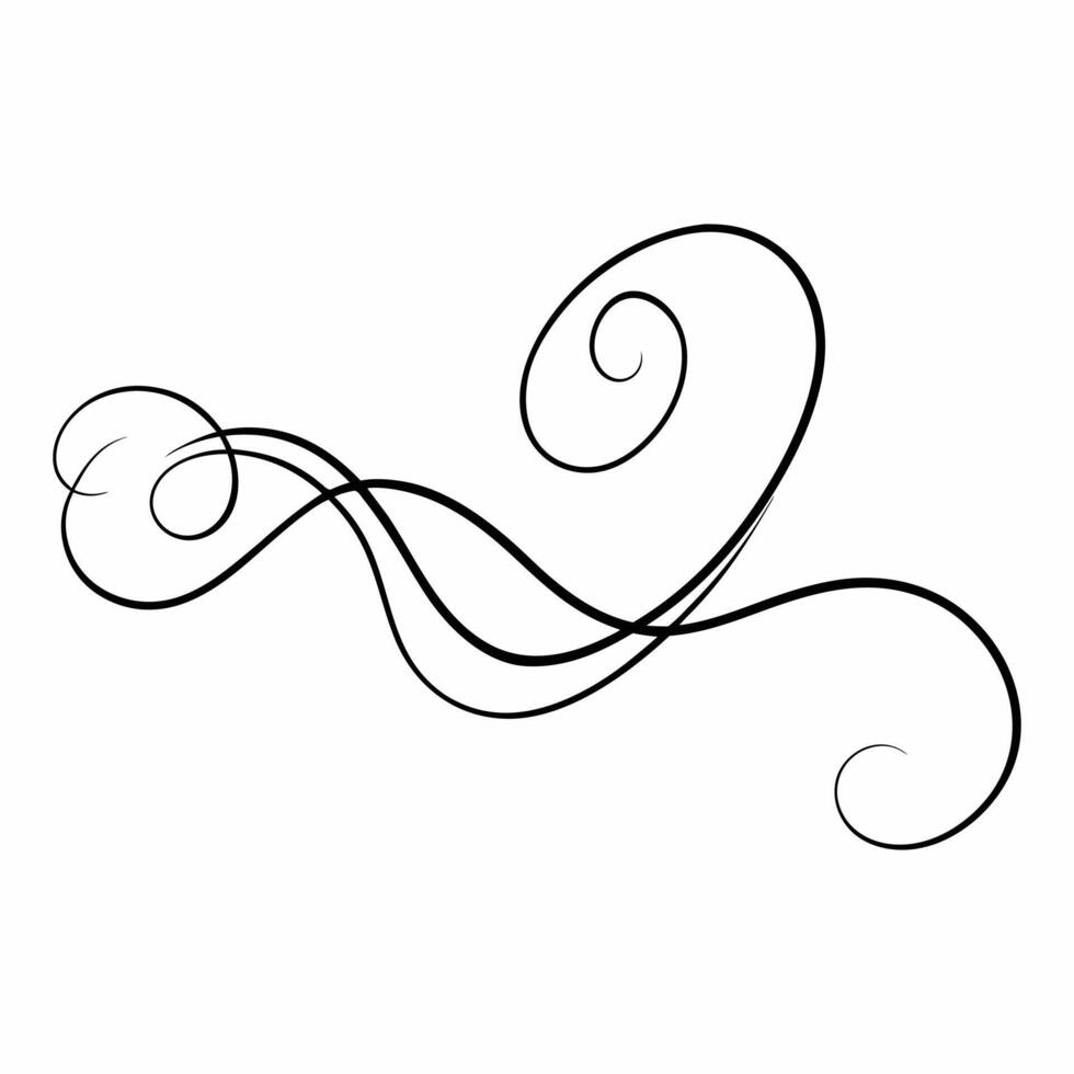 calligraphy ornate decorative swirls vector