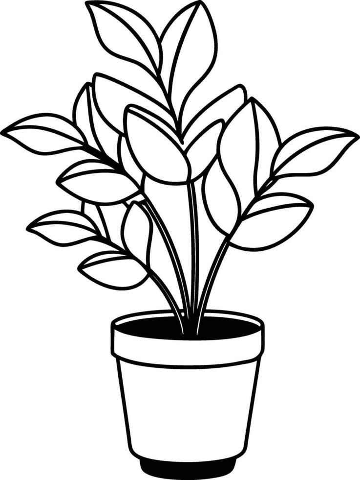 indoor Plant line art design black and white vector