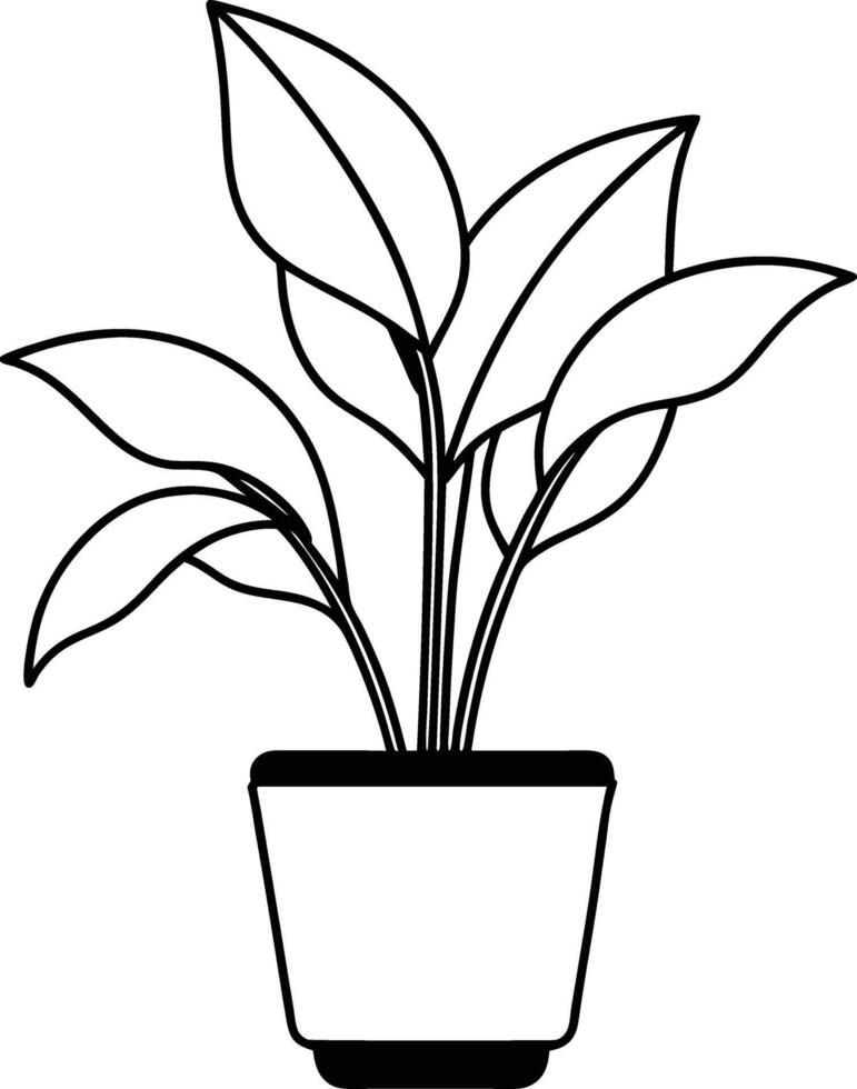 indoor Plant in pot black and white vector