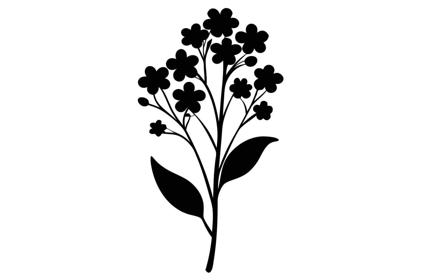 Elegant black silhouette of a forget-me-not flower. vector