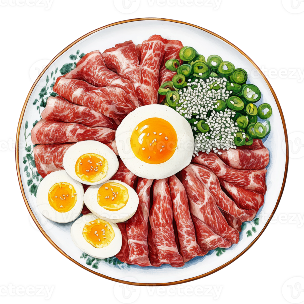 A plate with meat, eggs, and green onions png