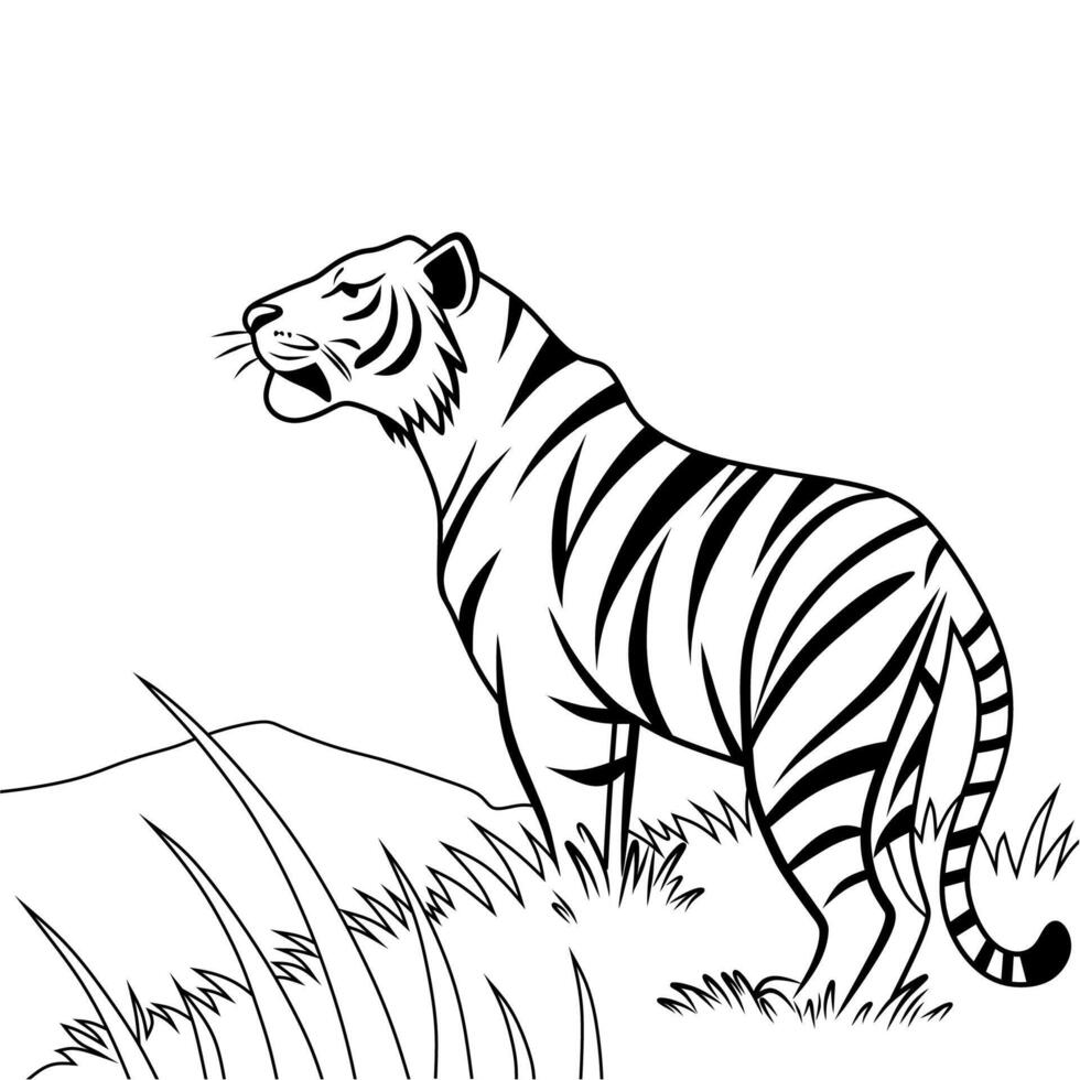 Elegant Tiger Line Art Illustration vector