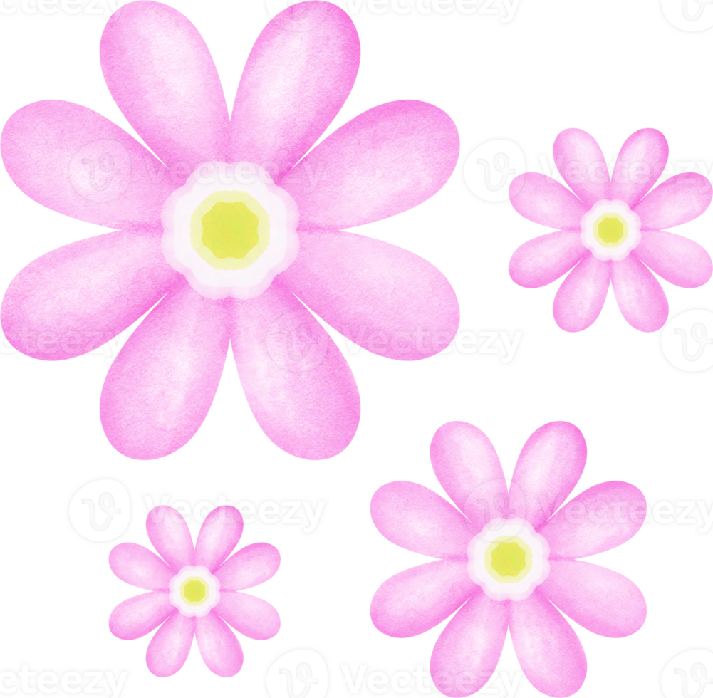 Flowers Pink and Yellow drawing. png