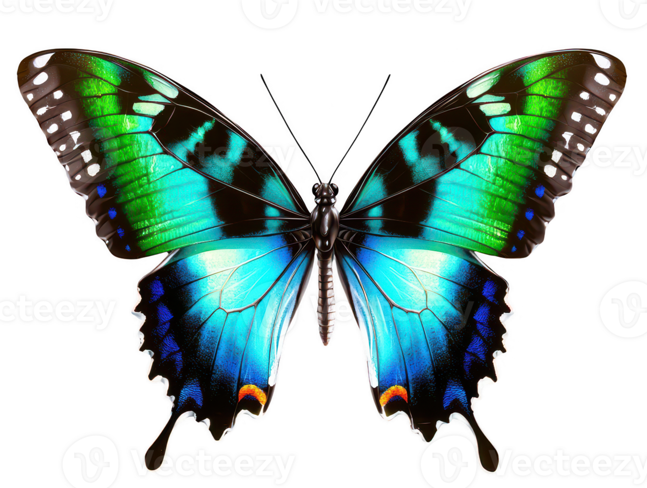 A vibrant butterfly with striking blue and green wings, showcasing intricate patterns and delicate structure. This beautiful insect symbolizes transformation and nature artistry png