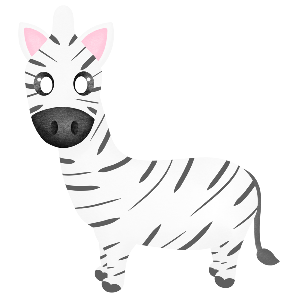 Cute zebra cartoon png