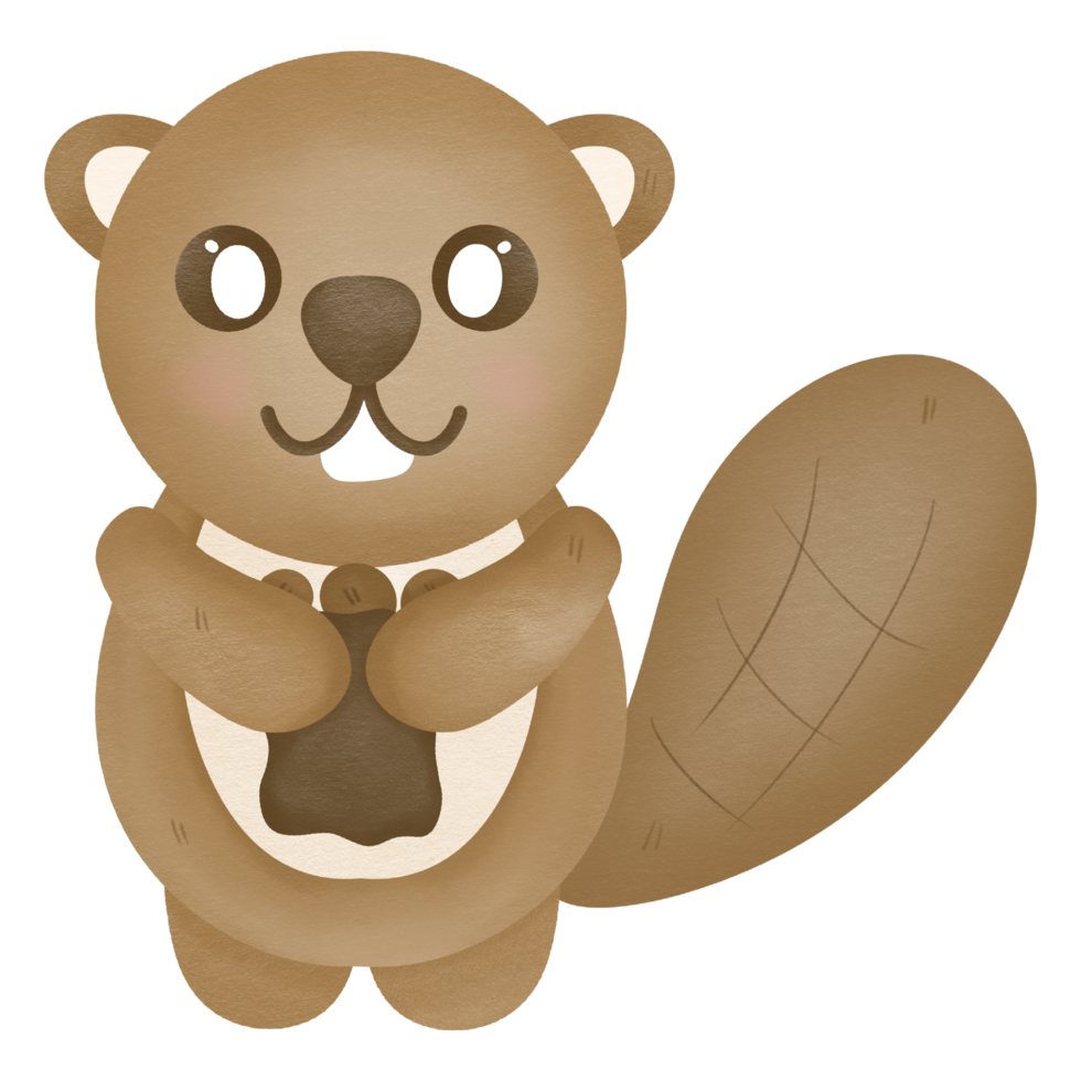 beaver cartoon cute animal png