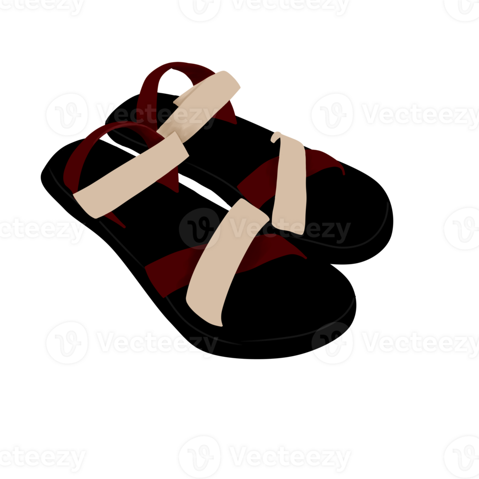 Stylish woman sandal illustration png