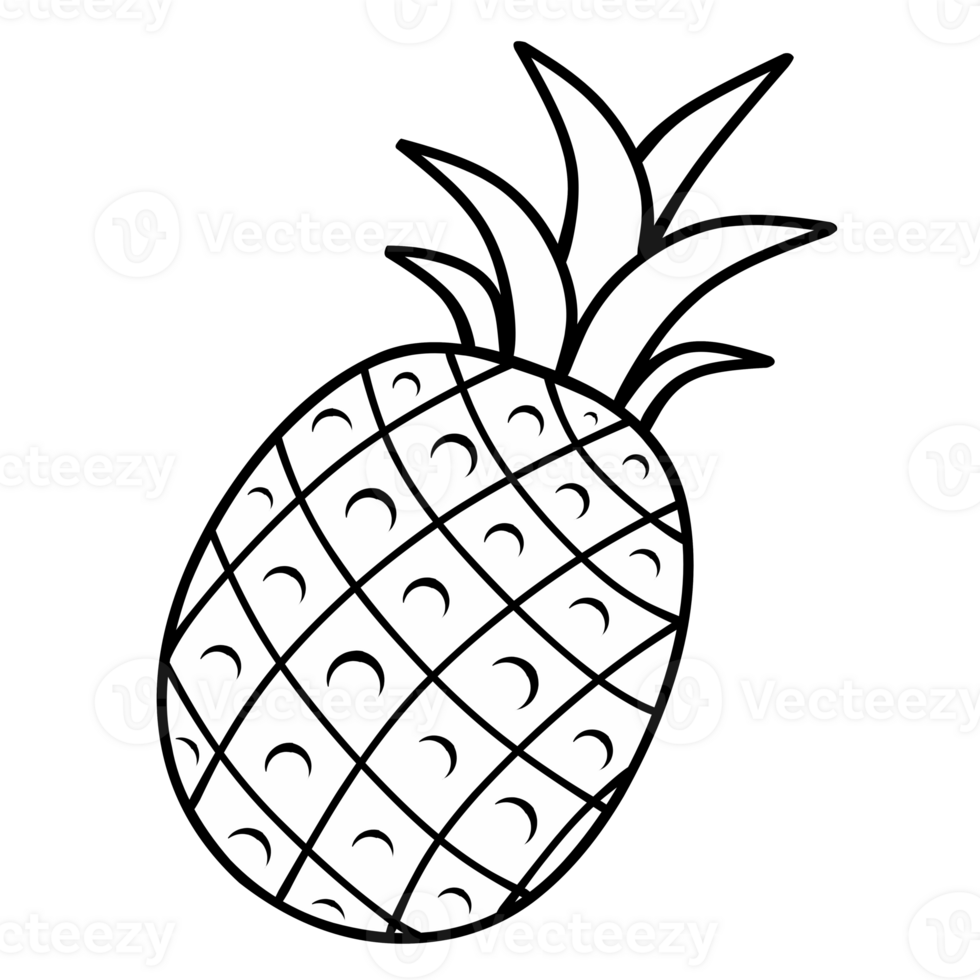 Line art pineapple png
