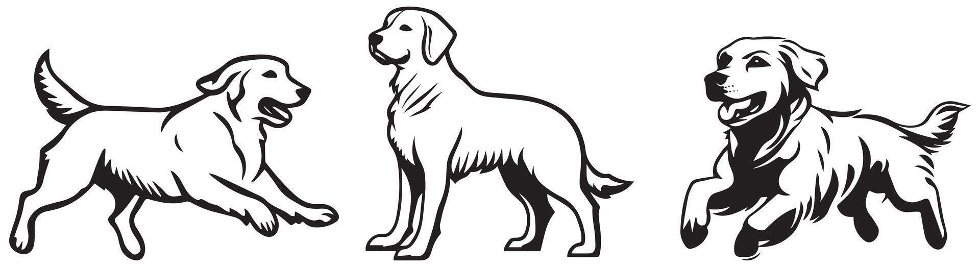 Golden Retriever Silhouette, Playful and Standing Dog Illustrations in Black and White vector