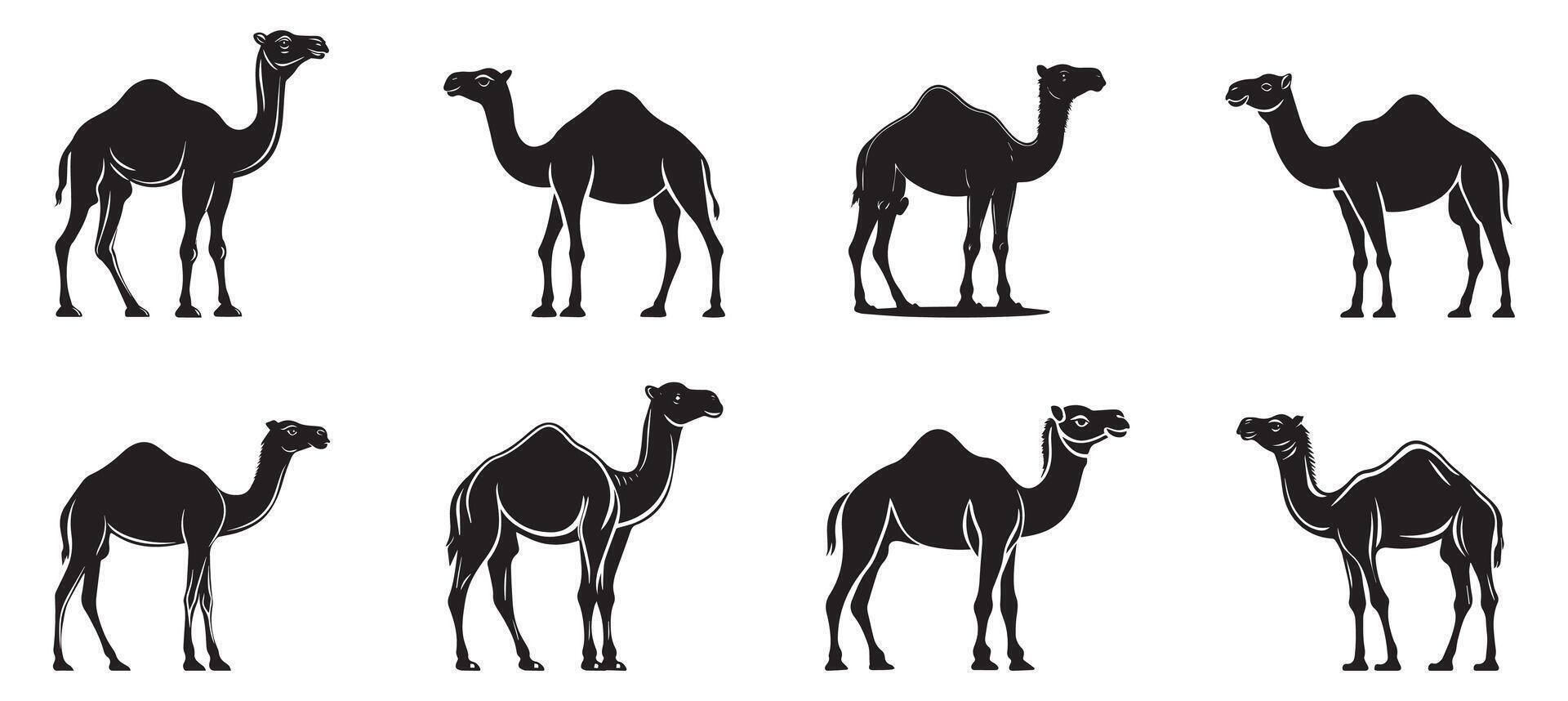 Camel Silhouette Set, Desert Animal Illustration for Safari, Travel, and Nature Designs vector