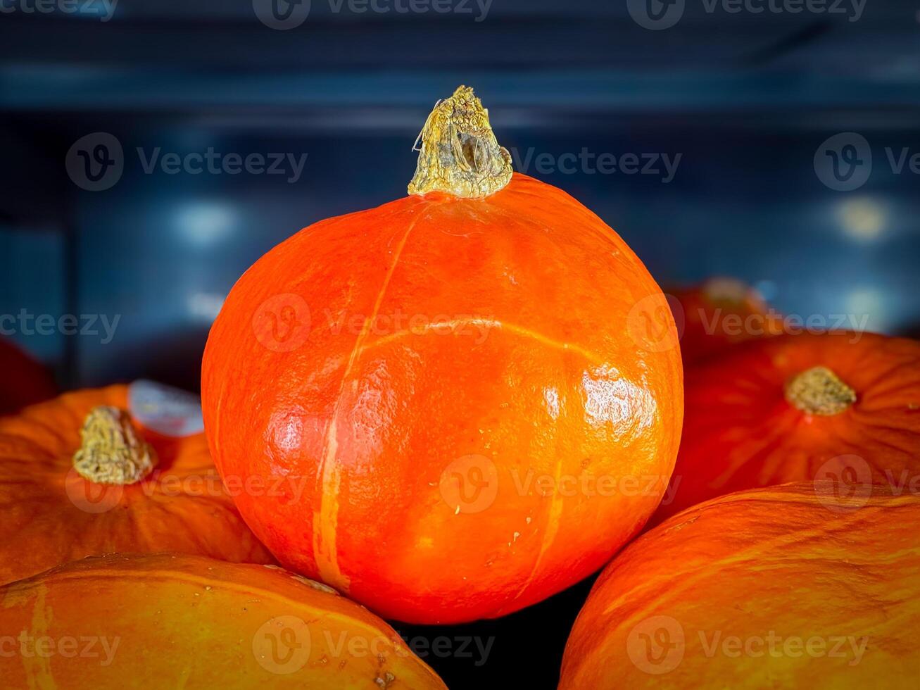 Pumpkins, halloween, thanksgiving, harvest. Top view, two orange, round pumpkins, bright blue background. Landscape format, close up. Wallpaper image, calender and postcard design.Copy space. photo