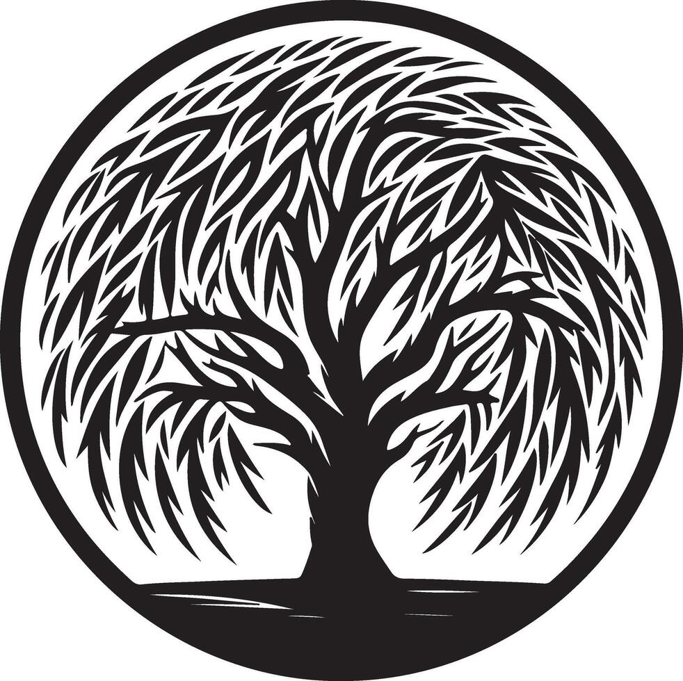 willow tree illustration vector