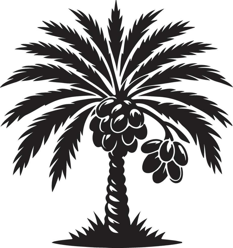 Black and white stylized date palm tree laden with dates vector
