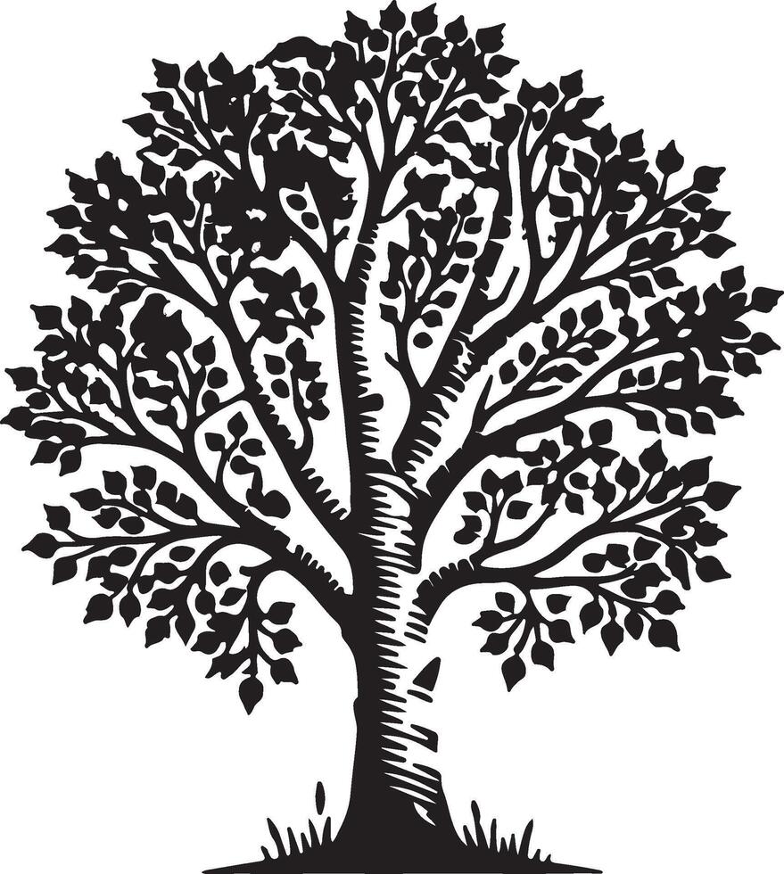 tree silhouette white background vector