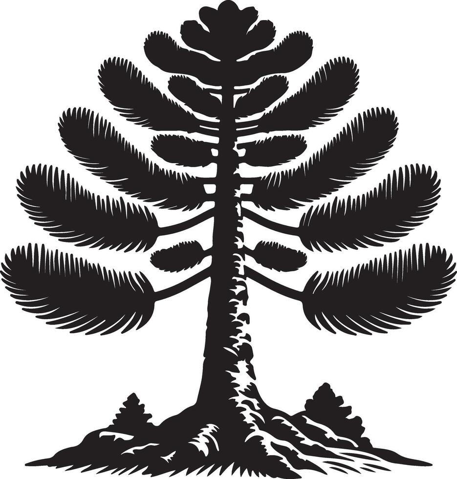 The unique a black and white illustration of a pine tree vector