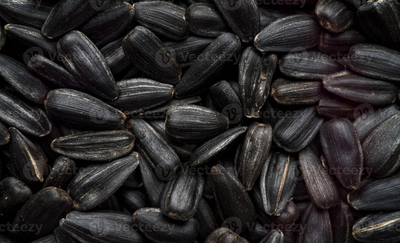 A close up of sunflower seeds photo