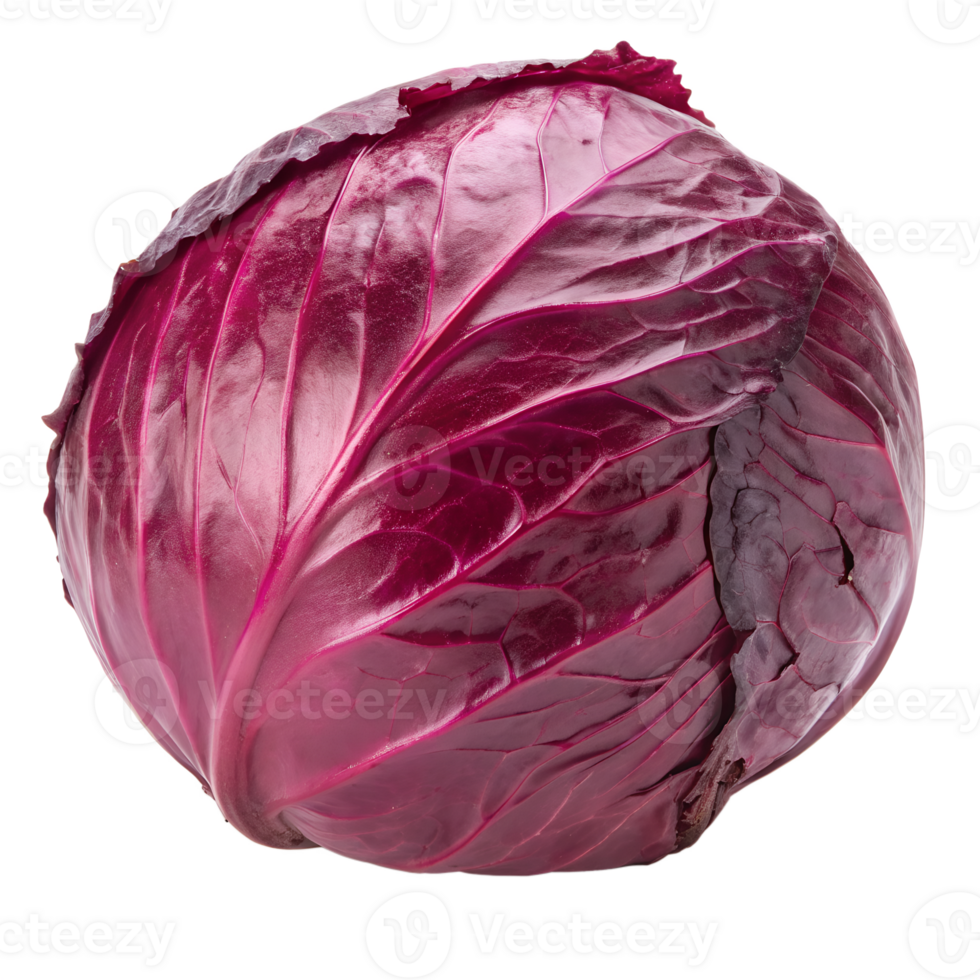 Red cabbage isolated on a transparent background png