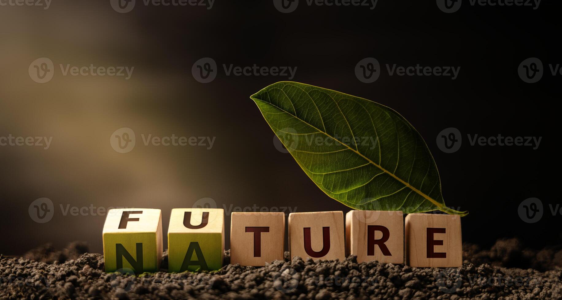 Environmental Concept. Green Energy, Renewable and Sustainable Resources. a Green Leaf on Wooden Cube turing from Future to Nature photo
