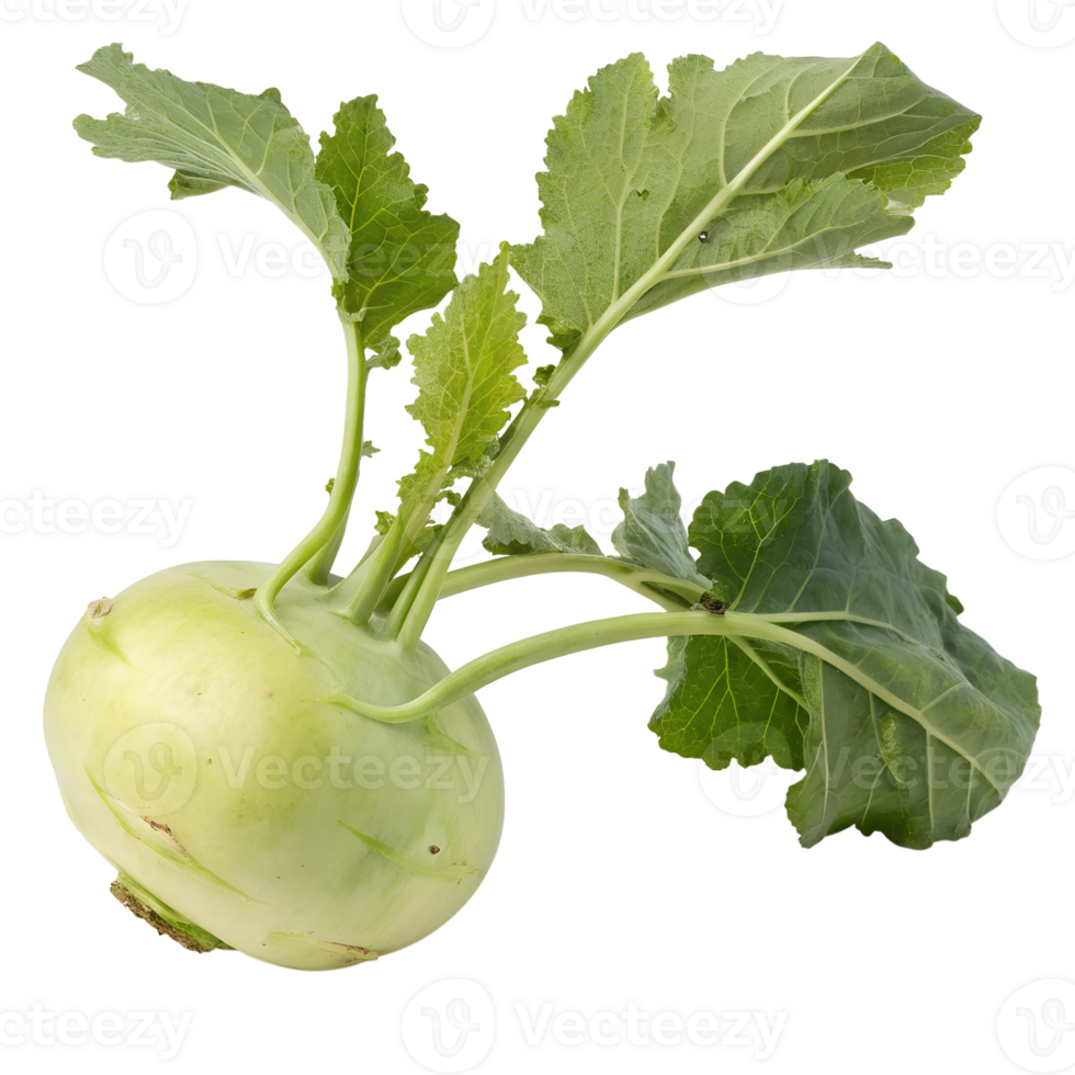 Kohlrabi isolated on the transparent background. Healthy organic vegetable png