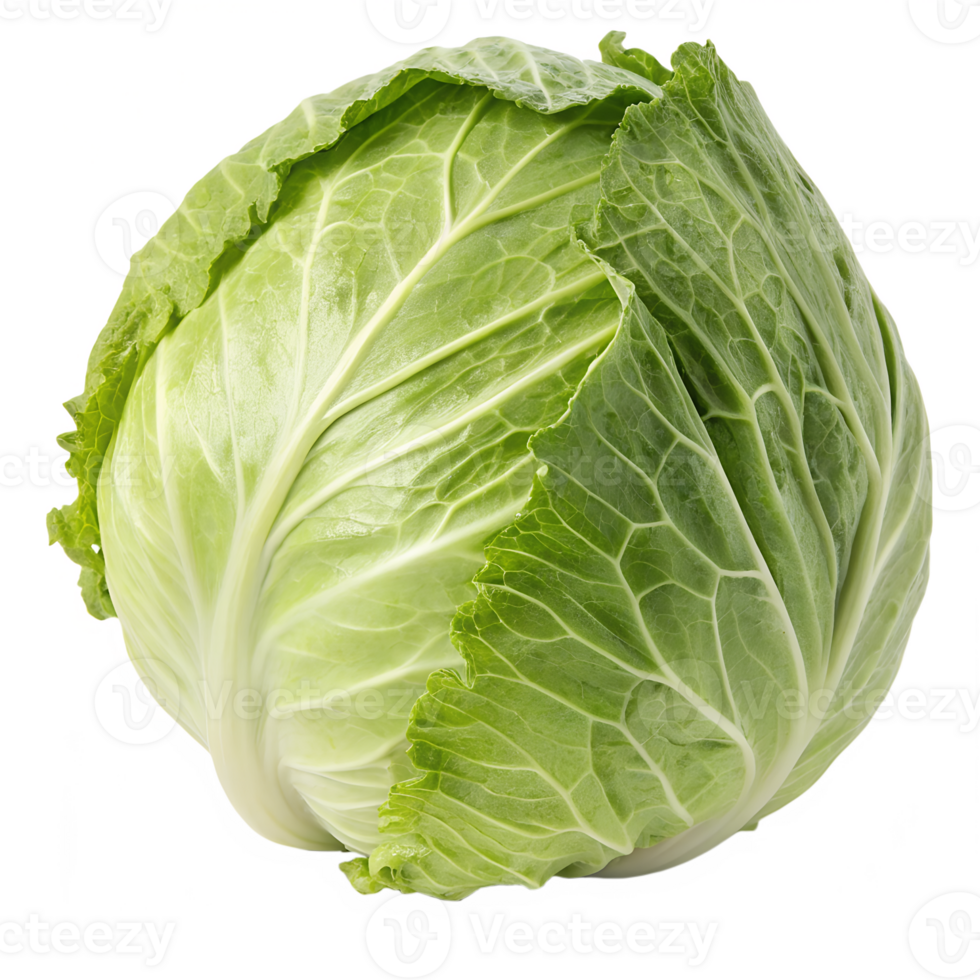 Green cabbage isolated on the transparent background. Healthy organic vegetable png