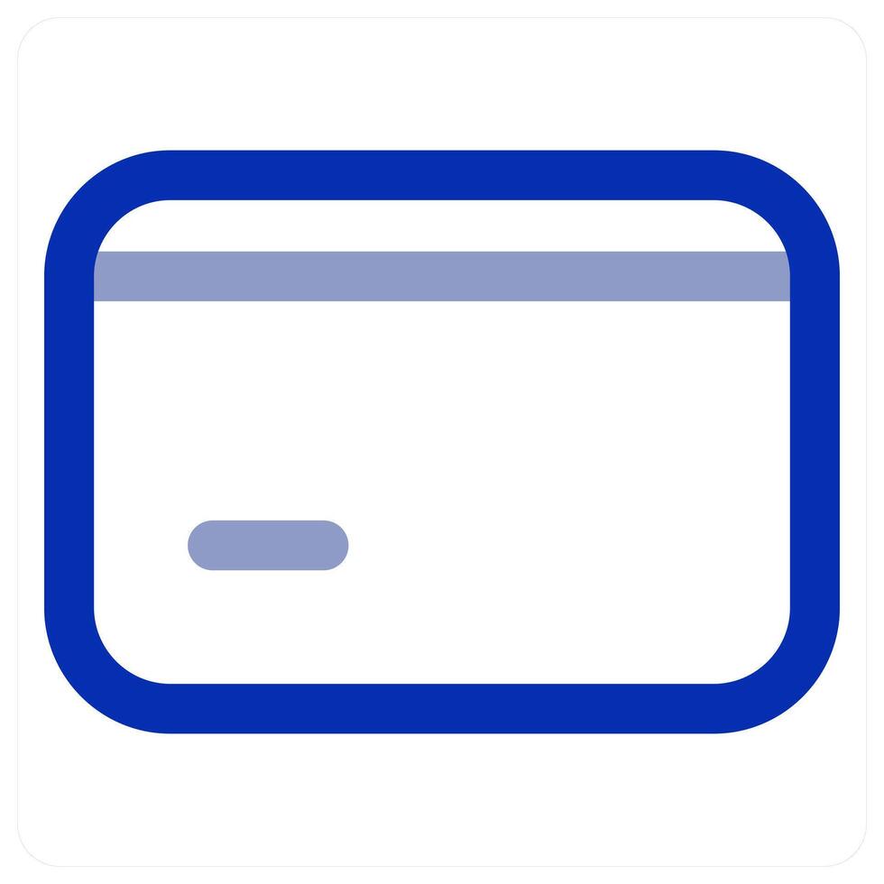 Credit Card and payment vector