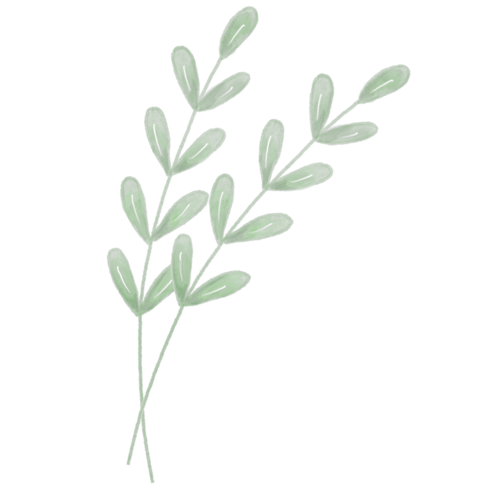 Two green watercolor branches with leaves png