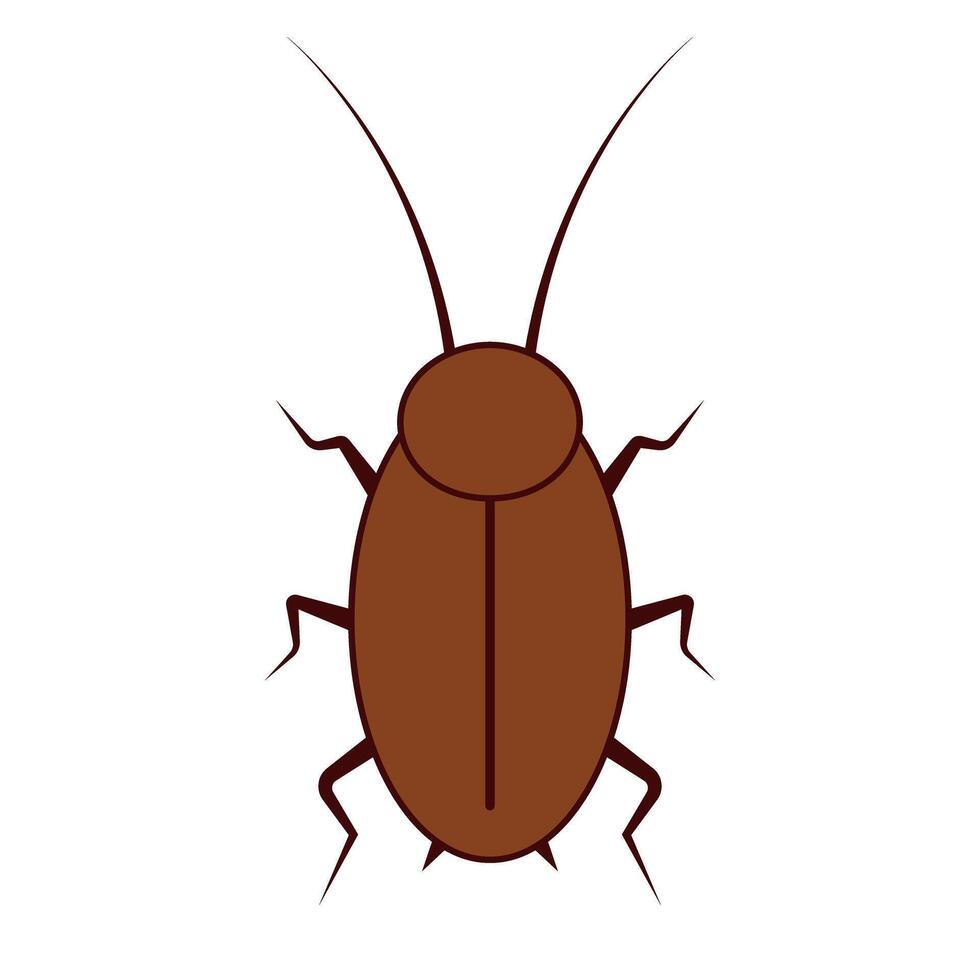 Brown Cockroach from Top View Design. vector