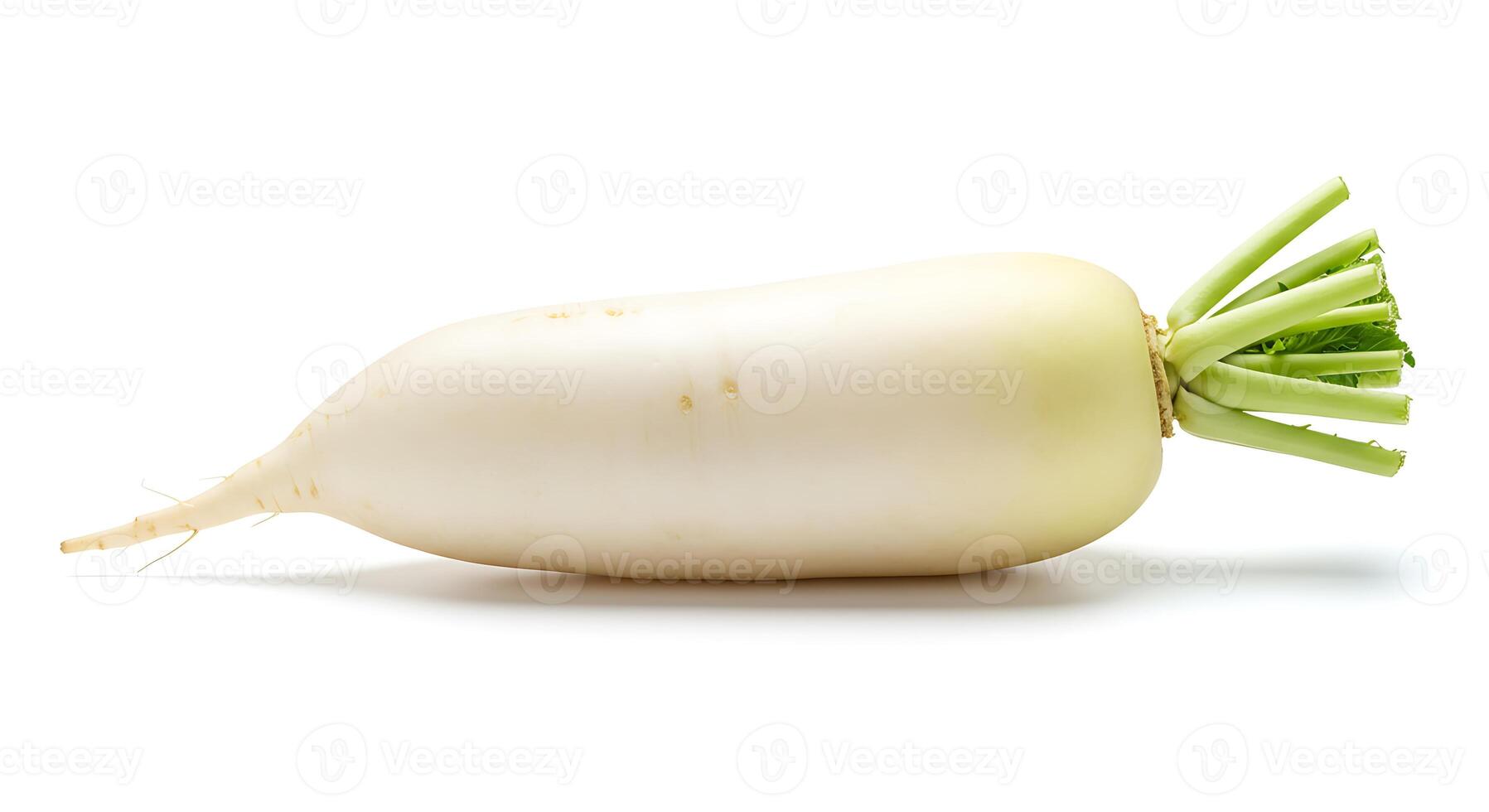 White Daikon Radish with Green Leaves Fresh on White Background photo