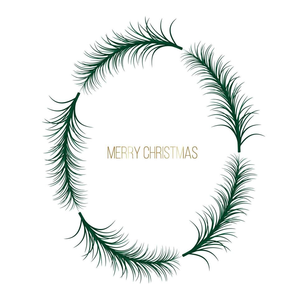 pine frame, border of spruce, pine Christmas branches vector