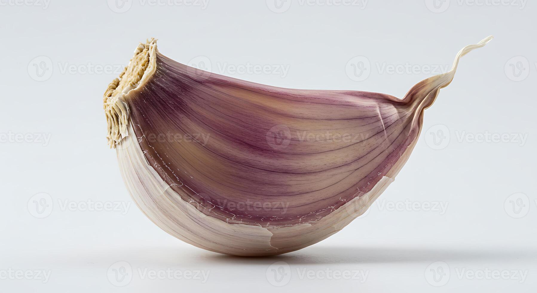 Single Garlic Clove Showing Purple Striations on a White Background photo