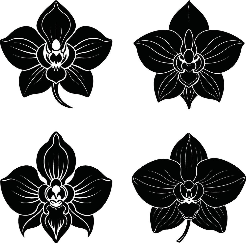 Botanical Outline Collection Stylish Dark Flower Elements Scalable Assortment for Artwork and Crafts vector