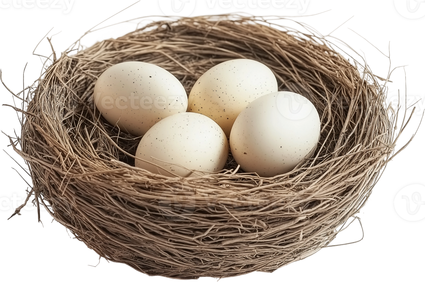 Four eggs in a nest with twigs png