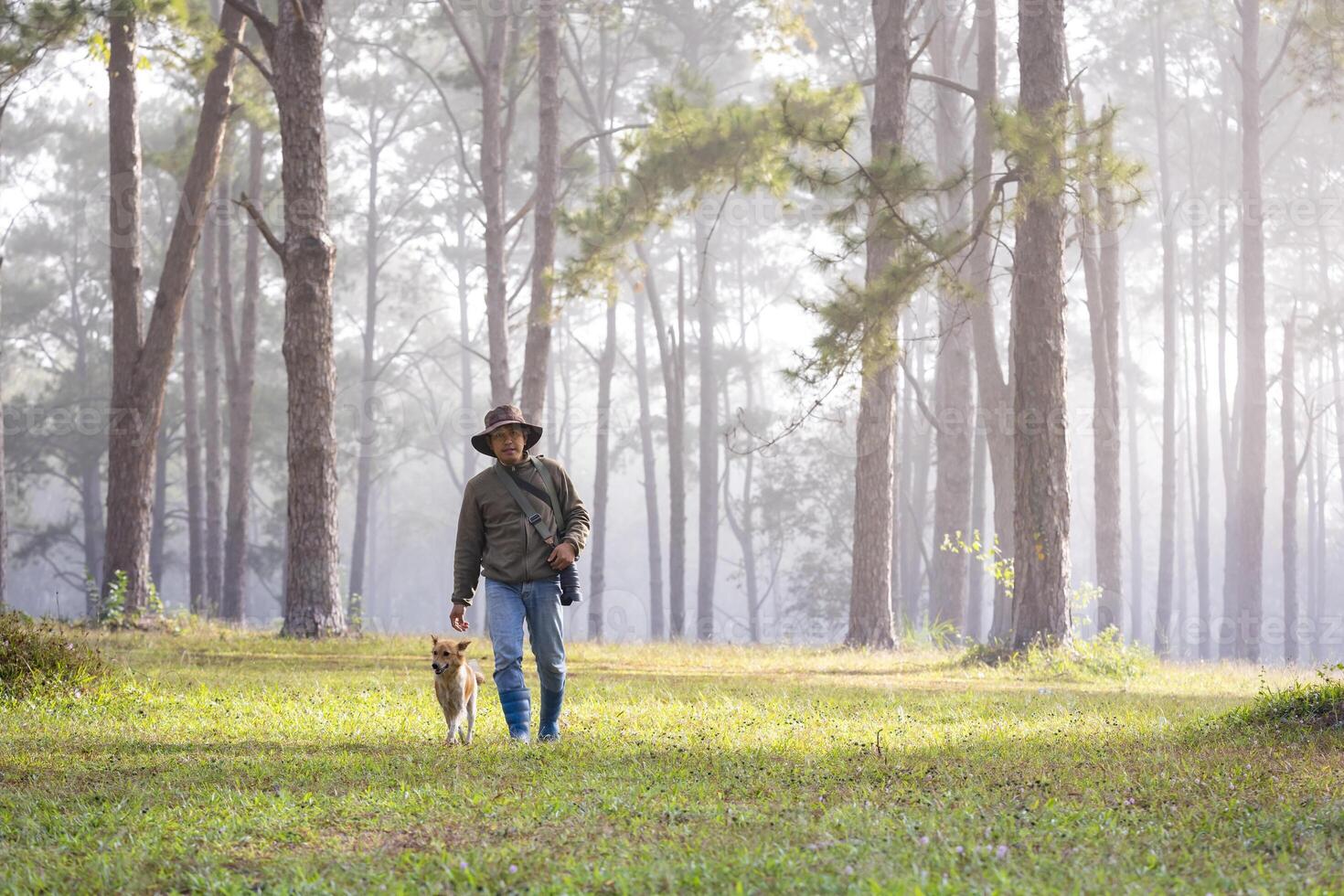 Adventurer is trekking through the woodland forest with his dog while playing together in the woods during summer to exploring trail and nature bath photo