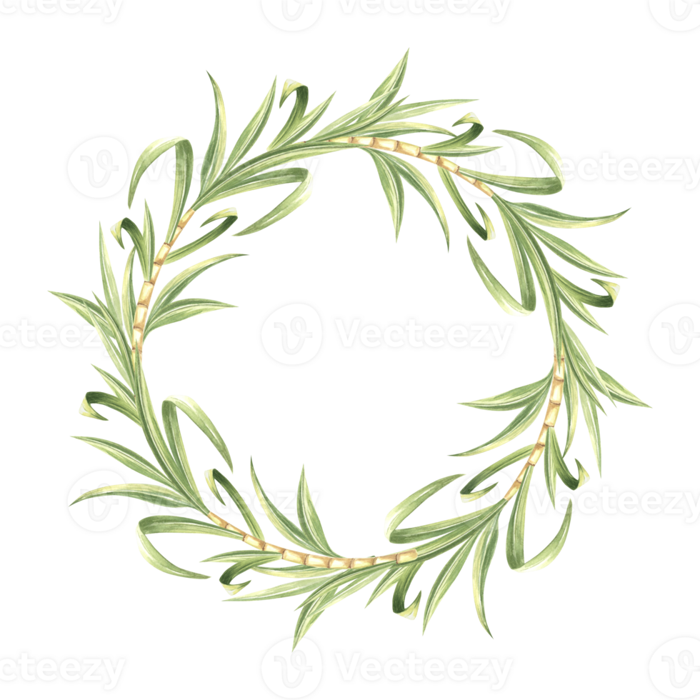 Sugar cane stalks with leaves watercolor wreath isolated. Round frame from stems and green foliage. Hand drawn illustration of bamboo shoots. Template with copy space in sketch style for food design. png